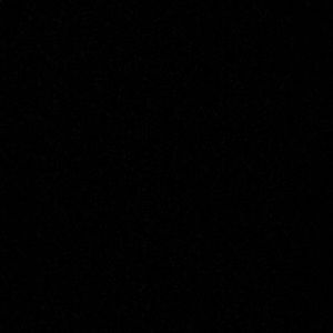 Meet your Posher, Oscar